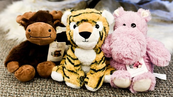 Stuffed monkey, tiger and pig in the gift shop